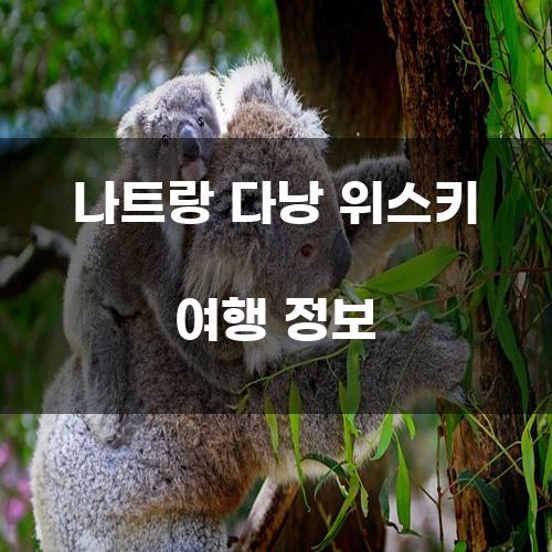 나트랑 다낭 위스키 여행 정보