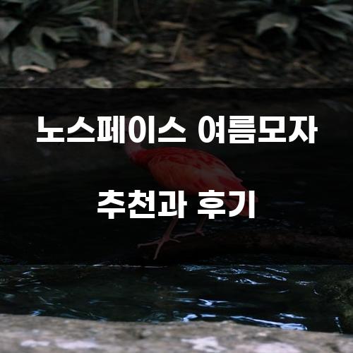 노스페이스 여름모자 추천과 후기