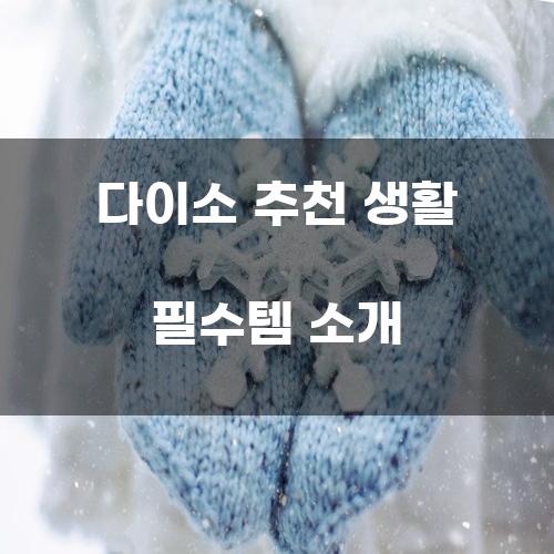 다이소 추천 생활 필수템 소개