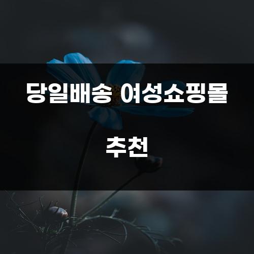 당일배송 여성쇼핑몰 추천