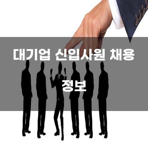 대기업 신입사원 채용 정보