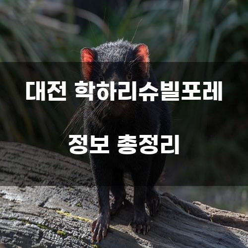 대전 학하리슈빌포레 정보 총정리