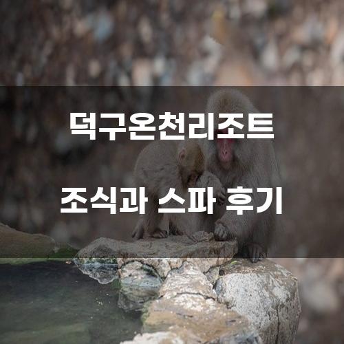 덕구온천리조트 조식과 스파 후기