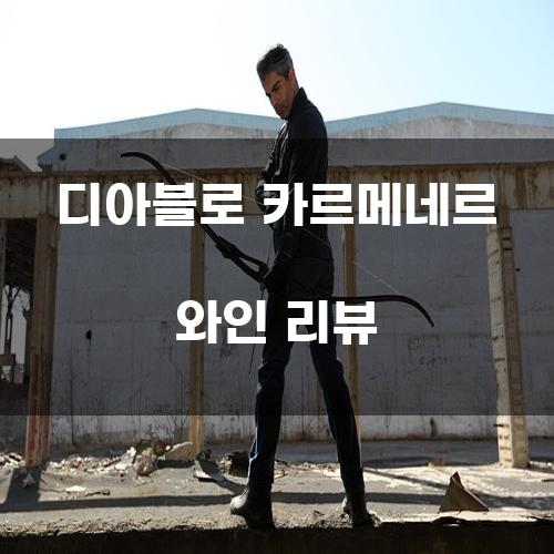 디아블로 카르메네르 와인 리뷰