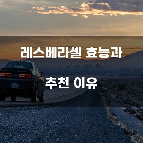 레스베라셀 효능과 추천 이유