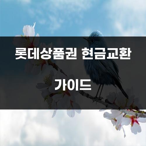 롯데상품권 현금교환 가이드