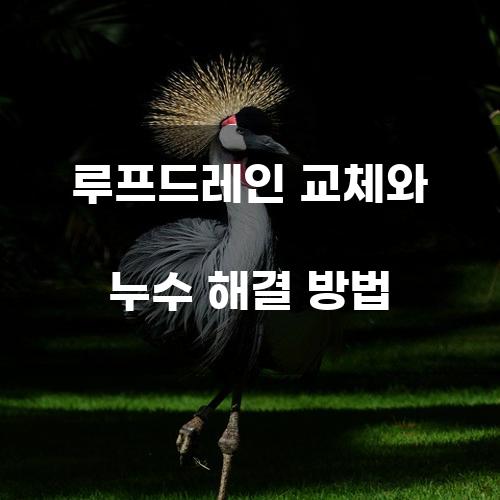 루프드레인 교체와 누수 해결 방법
