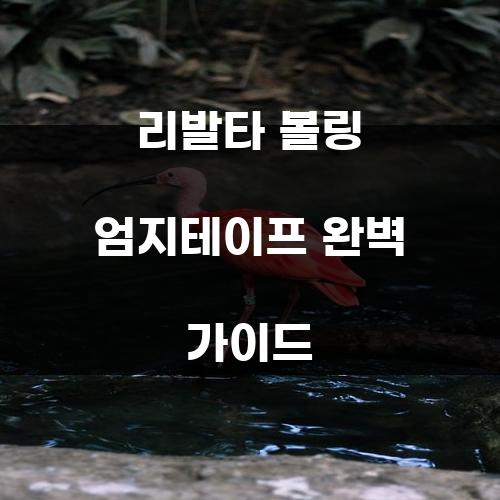 리발타 볼링 엄지테이프 완벽 가이드