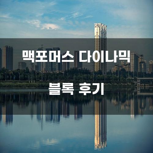 맥포머스 다이나믹 블록 후기