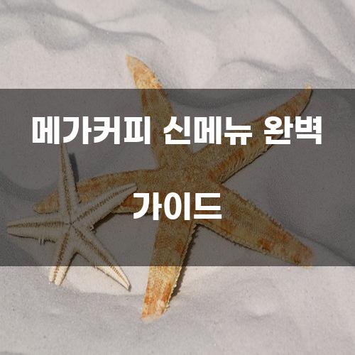 메가커피 신메뉴 완벽 가이드