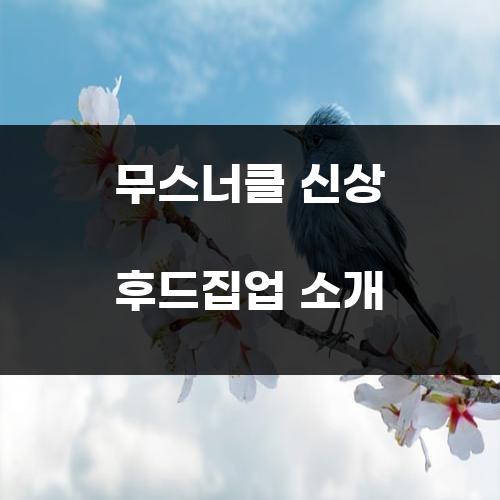 무스너클 신상 후드집업 소개