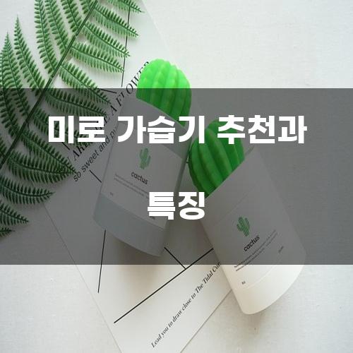미로 가습기 추천과 특징