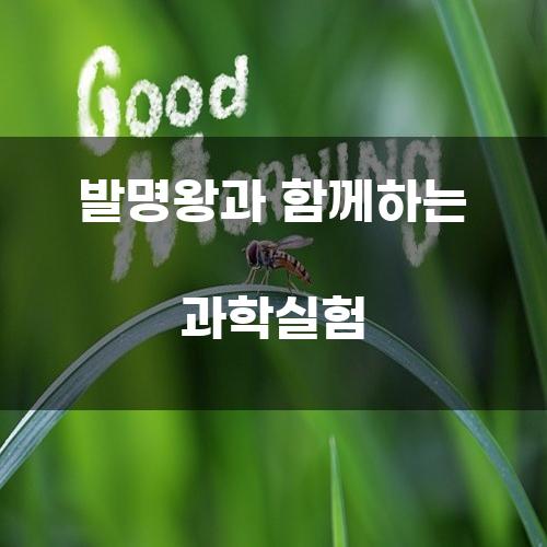 발명왕과 함께하는 과학실험