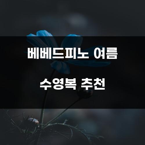 베베드피노 여름 수영복 추천