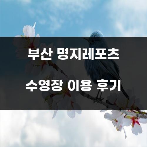 부산 명지레포츠 수영장 이용 후기