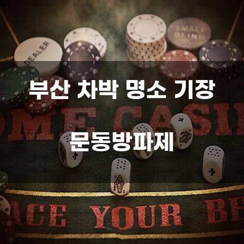 부산 차박 명소 기장 문동방파제
