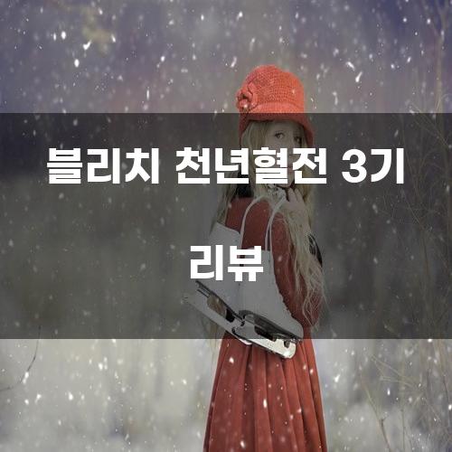 블리치 천년혈전 3기 리뷰