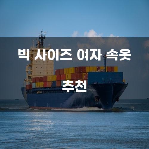 빅 사이즈 여자 속옷 추천