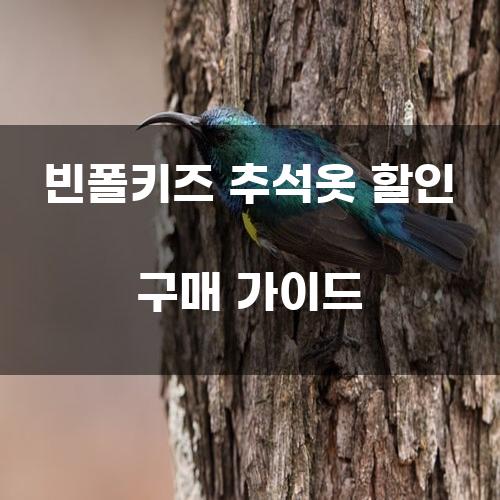 빈폴키즈 추석옷 할인 구매 가이드