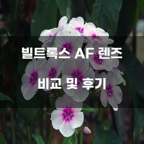 빌트록스 AF 렌즈 비교 및 후기