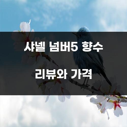 샤넬 넘버5 향수 리뷰와 가격