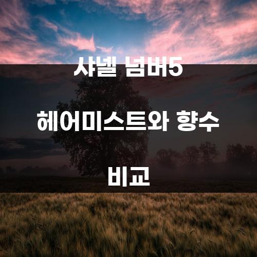샤넬 넘버5 헤어미스트와 향수 비교
