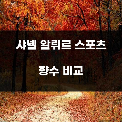 샤넬 알뤼르 스포츠 향수 비교
