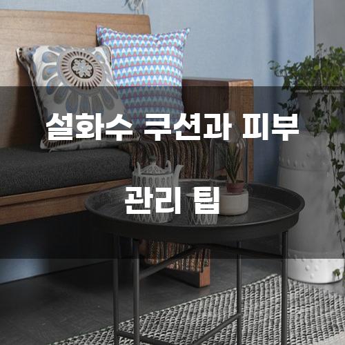 설화수 쿠션과 피부 관리 팁