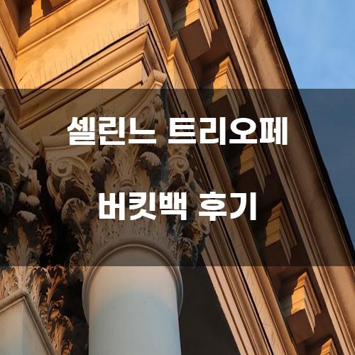 셀린느 트리오페 버킷백 후기