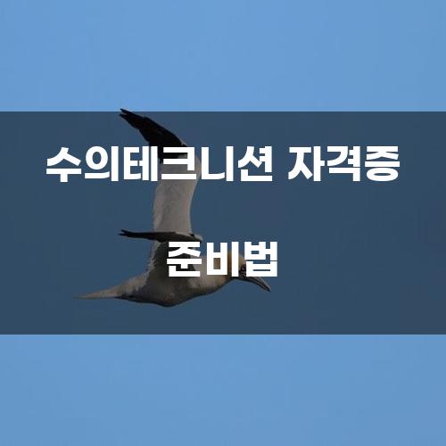 수의테크니션 자격증 준비법