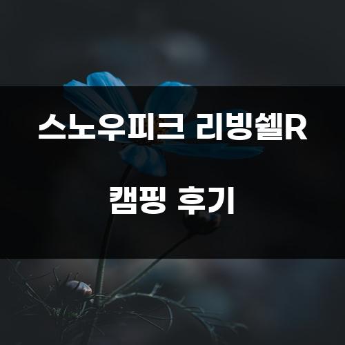 스노우피크 리빙쉘R 캠핑 후기