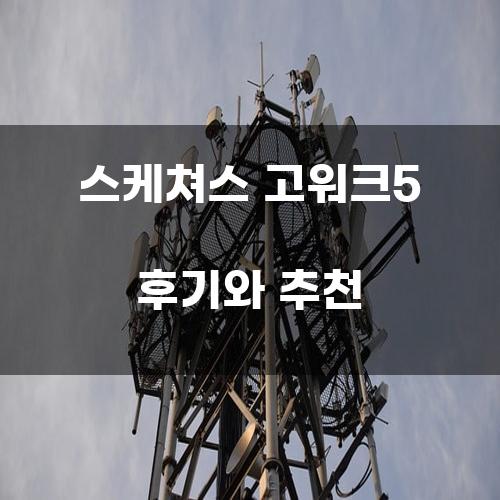 스케쳐스 고워크5 후기와 추천