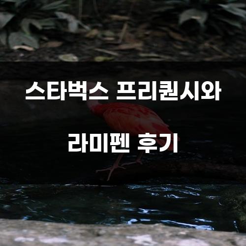 스타벅스 프리퀀시와 라미펜 후기
