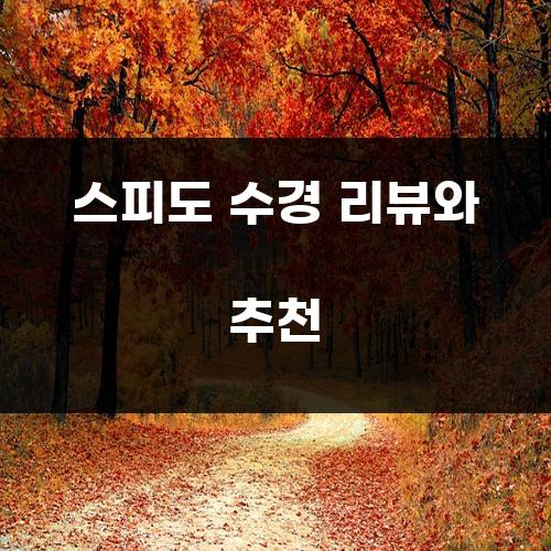 스피도 수경 리뷰와 추천