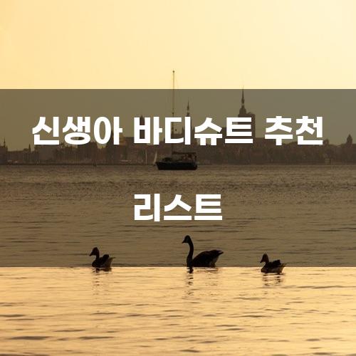 신생아 바디슈트 추천 리스트