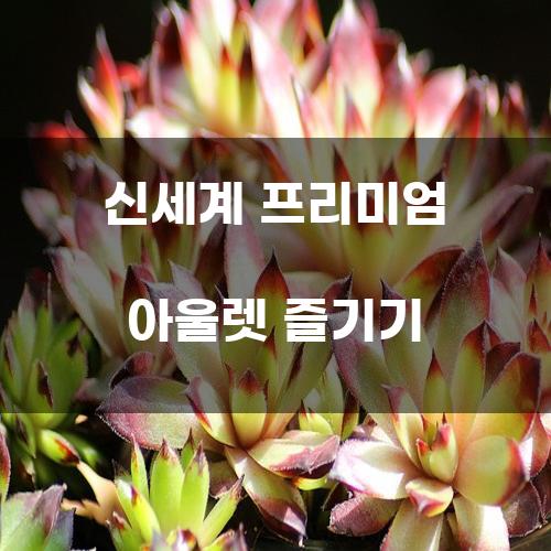 신세계 프리미엄 아울렛 즐기기