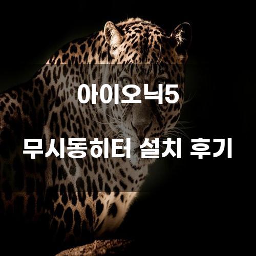 아이오닉5 무시동히터 설치 후기