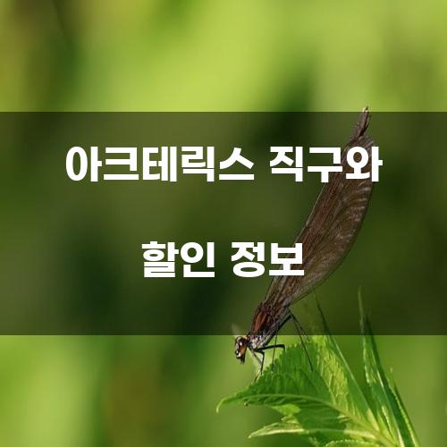 아크테릭스 직구와 할인 정보
