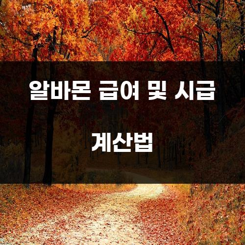 알바몬 급여 및 시급 계산법