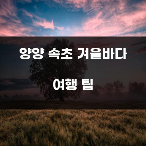 양양 속초 겨울바다 여행 팁
