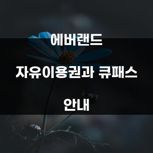 에버랜드 자유이용권과 큐패스 안내