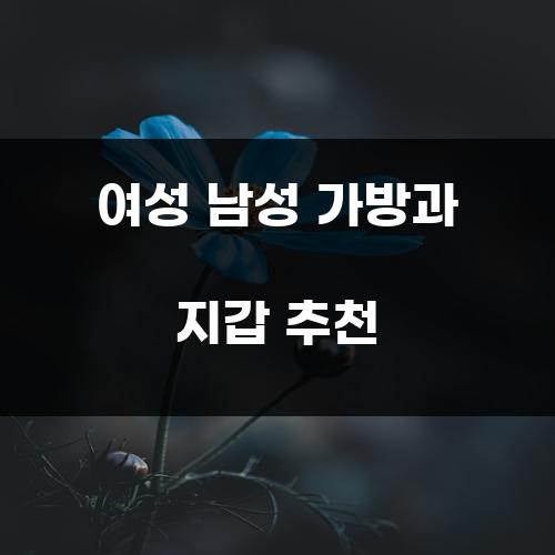 여성 남성 가방과 지갑 추천