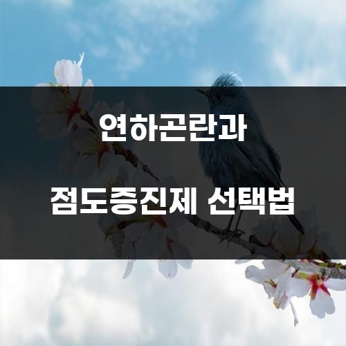 연하곤란과 점도증진제 선택법