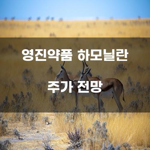 영진약품 하모닐란 주가 전망