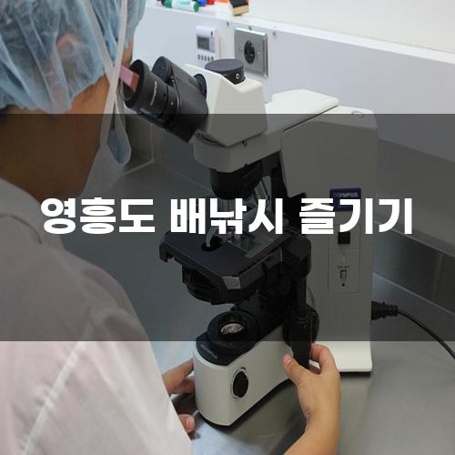 영흥도 배낚시 즐기기