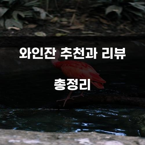 와인잔 추천과 리뷰 총정리