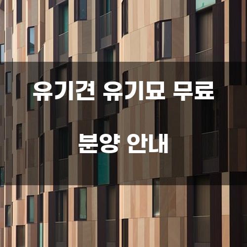 유기견 유기묘 무료 분양 안내