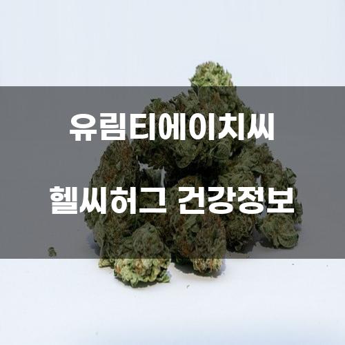 유림티에이치씨 헬씨허그 건강정보