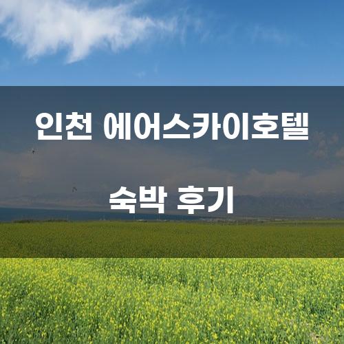 인천 에어스카이호텔 숙박 후기