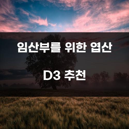 임산부를 위한 엽산 D3 추천